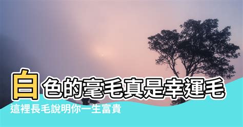 膝蓋長毛|這裡長毛說明你一生富貴